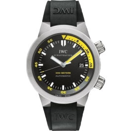 Часы IWC Aquatimer Automatic 2000 titanium IWC3538-04