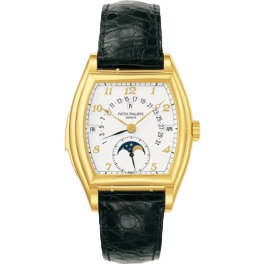 Часы Patek Philippe Grand Complications 5013J-001