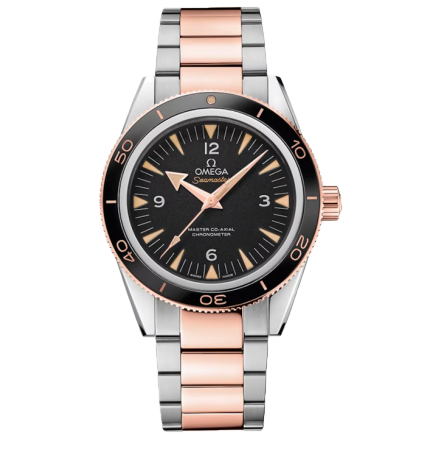 Seamaster 300 m  233.20.41.21.01.001