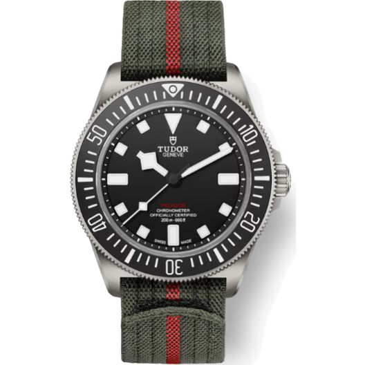 Часы Tudor Pelagos FXD 42 mm Titanium 25717N