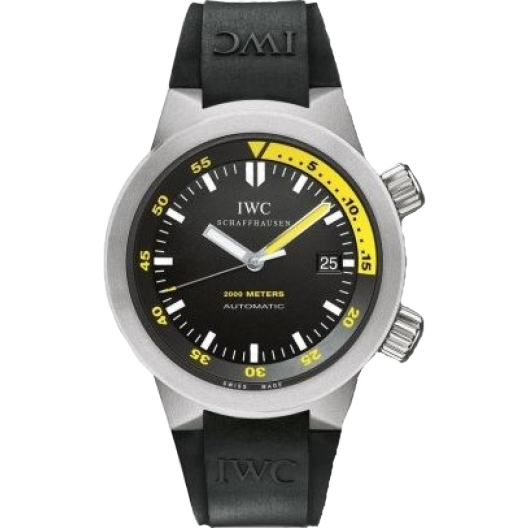 Часы IWC Aquatimer Automatic 2000 titanium IWC3538-04