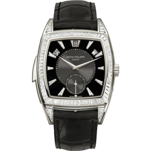 Часы Patek Philippe Grand Complications 5033/100P-001
