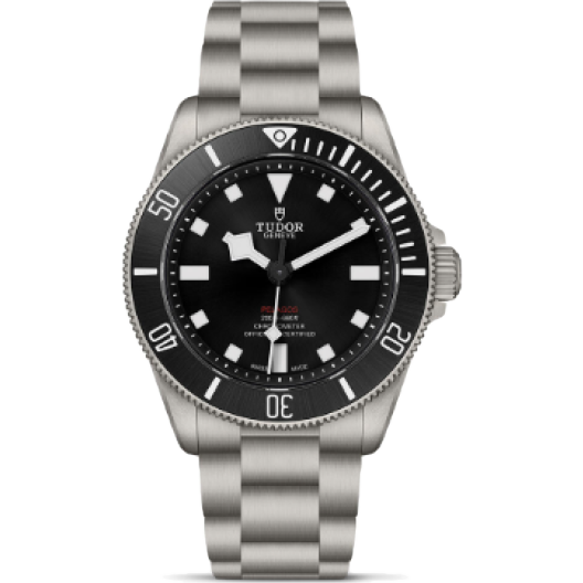 Часы Tudor Pelagos 39 mm Titanium 25407N