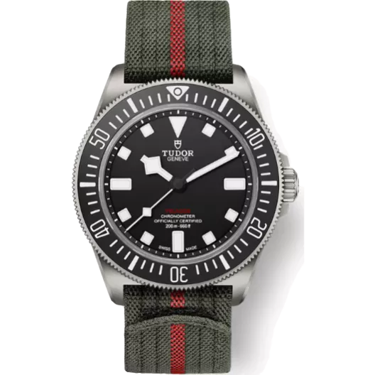 Часы Tudor Pelagos FXD 42 mm Titanium 25717N