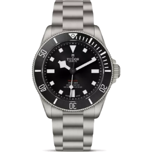 Часы Tudor Pelagos 39 mm Titanium 25407N